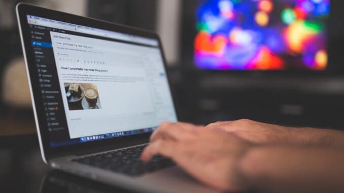 Wordpress Wordpress